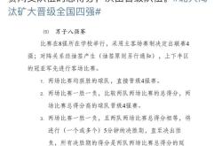 关于VAR判罚再引争议，泰山对阵本泽马裁判判点引发巨大争议的信息